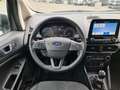 Ford EcoSport Titanium EcoBoost 1.0 125cv Start&Stop Szürke - thumbnail 12