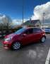 Kia Rio 1.4 CRDI 90 cv active business ISG Rot - thumbnail 10