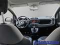 Fiat Panda More Easy 1.2 8V 51kW Musikstreaming PDC Alu Klima Gris - thumbnail 10