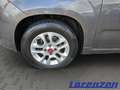 Fiat Panda More Easy 1.2 8V 51kW Musikstreaming PDC Alu Klima Gris - thumbnail 17