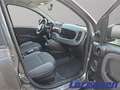 Fiat Panda More Easy 1.2 8V 51kW Musikstreaming PDC Alu Klima Gris - thumbnail 9