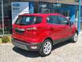 Ford EcoSport Titanium Klimaautom. Xenon Winterpaket Rouge - thumbnail 14
