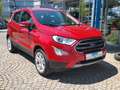 Ford EcoSport Titanium Klimaautom. Xenon Winterpaket Rot - thumbnail 16