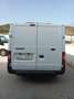 Ford Transit FT 250S Van 100 Blanco - thumbnail 2