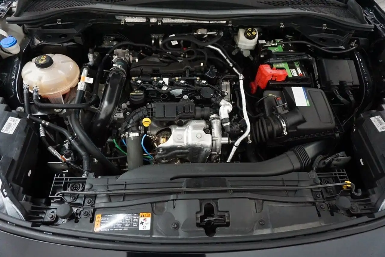 Ford Kuga 1.5 EcoBLUE Auto. Titanium VIRTUAL LED, миниатюра 17