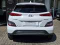 Hyundai KONA Elektro 39,2 kWh TREND, Winterräder, Navi, Kamera, Білий - thumbnail 7