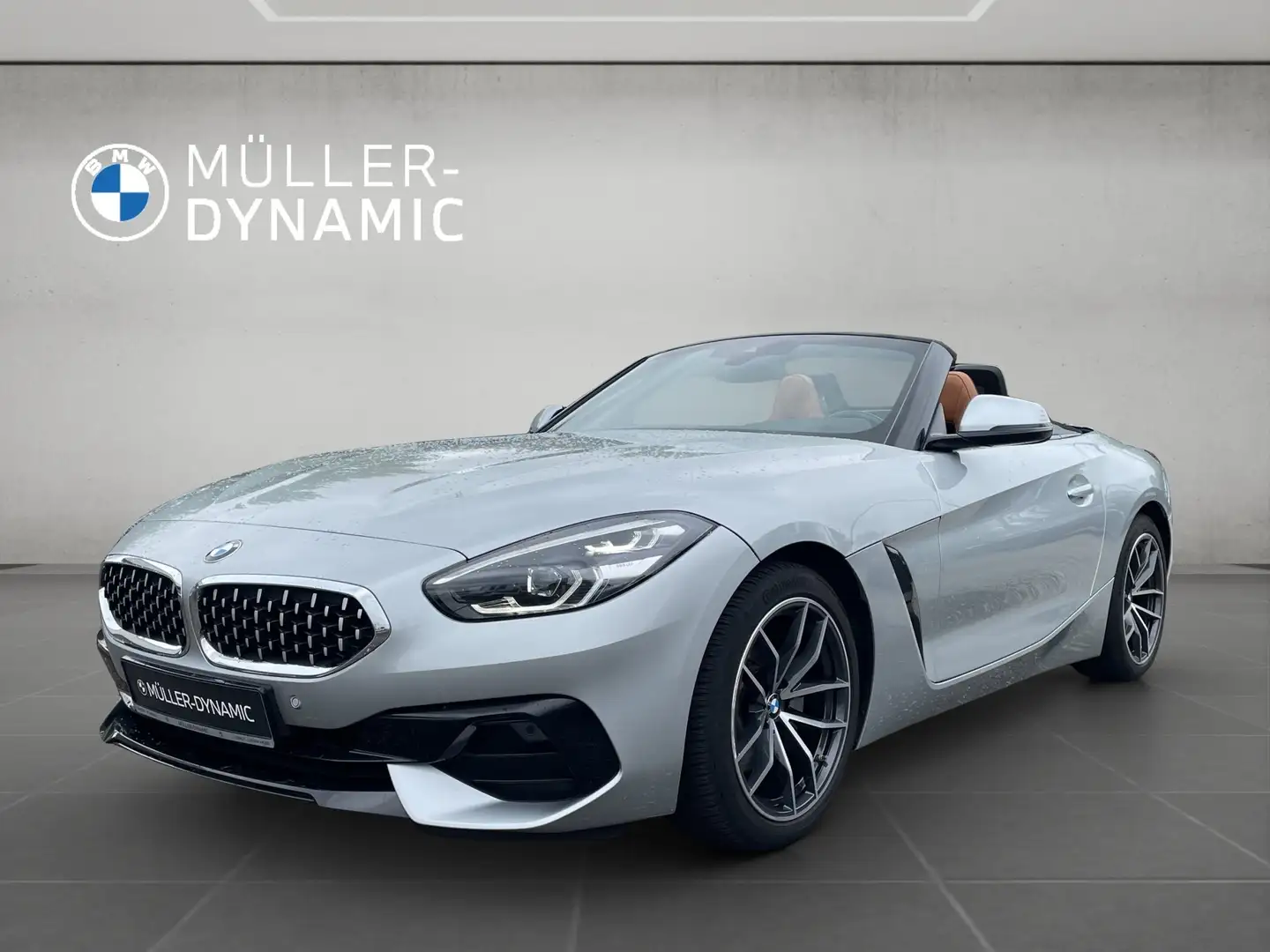 BMW Z4 sDrive20i CABRIO SPORT LINE HIFI PDC TEMPOMAT SHZ Gris - 1