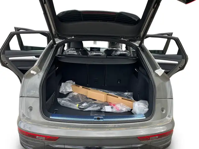 Audi Q5 view 18