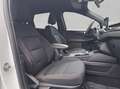 Ford Kuga 2.5 Duratec PHEV ST-LINE Weiß - thumbnail 19