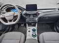 Ford Kuga 2.5 Duratec PHEV ST-LINE Weiß - thumbnail 14