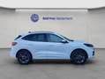 Ford Kuga 2.5 Duratec PHEV ST-LINE Weiß - thumbnail 7