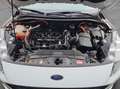 Ford Kuga 2.5 Duratec PHEV ST-LINE Weiß - thumbnail 22