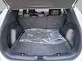 Ford Kuga 2.5 Duratec PHEV ST-LINE Wit - thumbnail 6