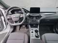 Ford Kuga 2.5 Duratec PHEV ST-LINE Weiß - thumbnail 14