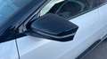 Kia EV6 BEV GT-LINE AWD AUTO 325CV 5P Blanco - thumbnail 21