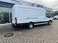 Ford Transit Kasten 350 L4 Trend Weiß - thumbnail 7