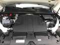 Volkswagen Touareg 3.0 V6 TDI 286 PS 4M R-Line AHK/LUFT/21-ZOLL/MATR Weiß - thumbnail 12