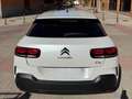 Citroen C4 Cactus C4 Cactus 1.2 PureTech S Blanco - thumbnail 22
