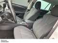 Skoda Octavia Com. 2.0 TDI Style LED NAVI AHK SHZ PDC LM ZV Weiß - thumbnail 13