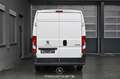 Peugeot Boxer 335 2.2 BlueHDi Pro L3H2 S&S Pickerl NEU Weiß - thumbnail 4