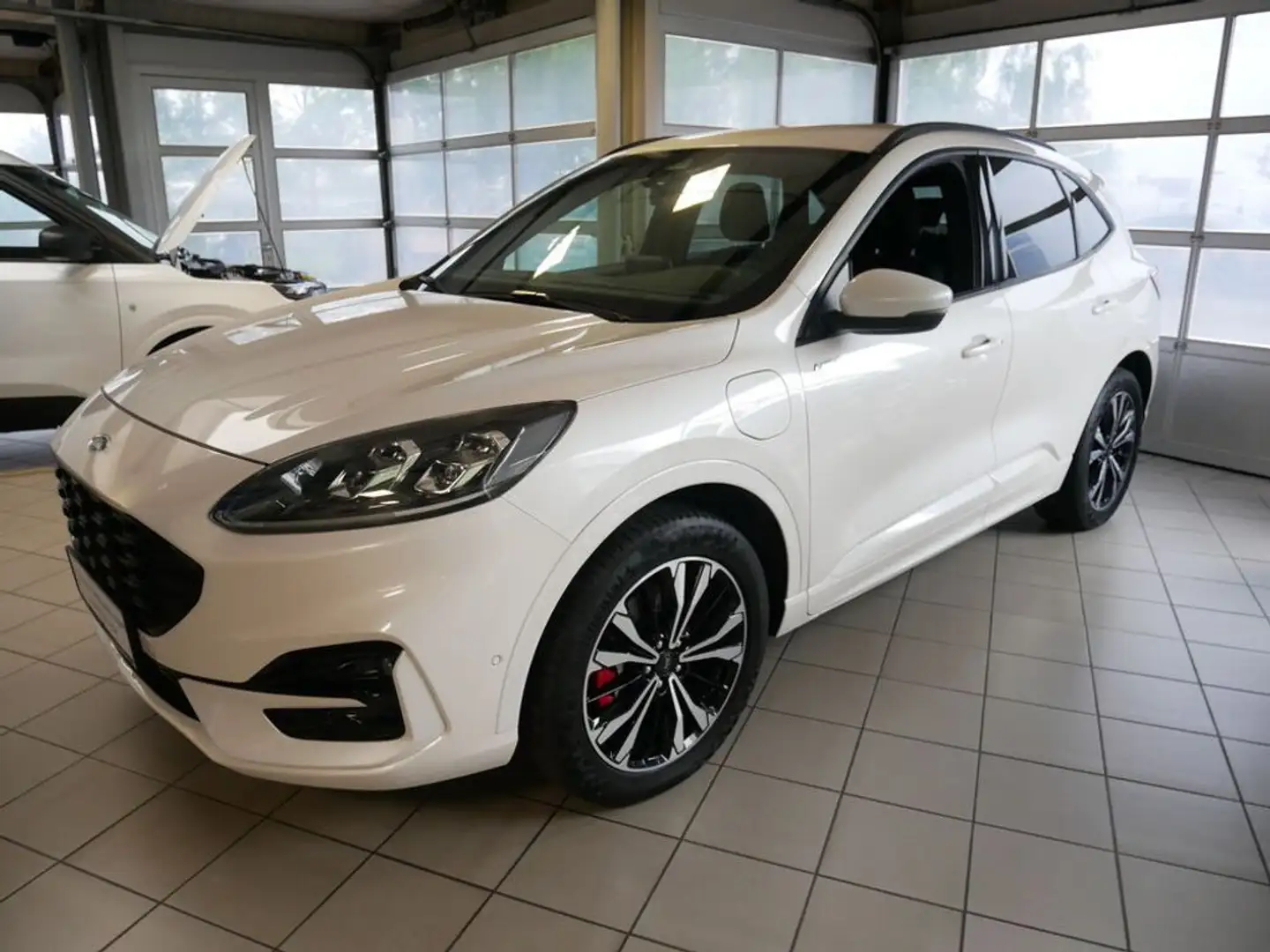 Ford Kuga ST-Line X Plug-In Hybrid Weiß - 1