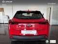 Lexus UX 250h Business 2WD Rojo - thumbnail 5