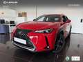 Lexus UX 250h Business 2WD Rojo - thumbnail 1