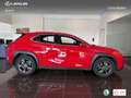 Lexus UX 250h Business 2WD Rojo - thumbnail 3