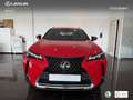Lexus UX 250h Business 2WD Rojo - thumbnail 4