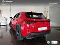 Lexus UX 250h Business 2WD Rojo - thumbnail 14