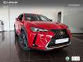 Lexus UX 250h Business 2WD Rojo - thumbnail 12