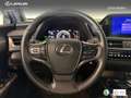 Lexus UX 250h Business 2WD Rojo - thumbnail 17