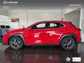 Lexus UX 250h Business 2WD Rojo - thumbnail 13