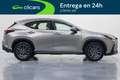 Lexus NX 300 300h Business 2WD Grau - thumbnail 7