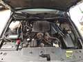 Lincoln Town Car LEICHENWAGEN-CORBILLARD Gris - thumbnail 6