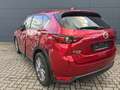 Mazda CX-5 2.5l Sports-Line AWD Leder Bose Rosso - thumbnail 6