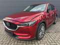 Mazda CX-5 2.5l Sports-Line AWD Leder Bose Rosso - thumbnail 1