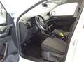 Volkswagen T-Cross 1.0 TSI Life AHK LED GJ-REIFEN APP-CONNECT PDC Weiß - thumbnail 3
