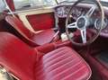 Austin-Healey Sprite mk1 frogeye Weiß - thumbnail 6