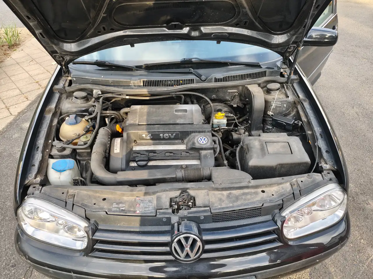Volkswagen Golf 1.4 Edition, foto 5