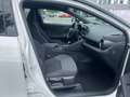 Toyota C-HR 2,0 Hybrid Plug-In 4x2 TEAM DEUTSCHLAND Weiß - thumbnail 13