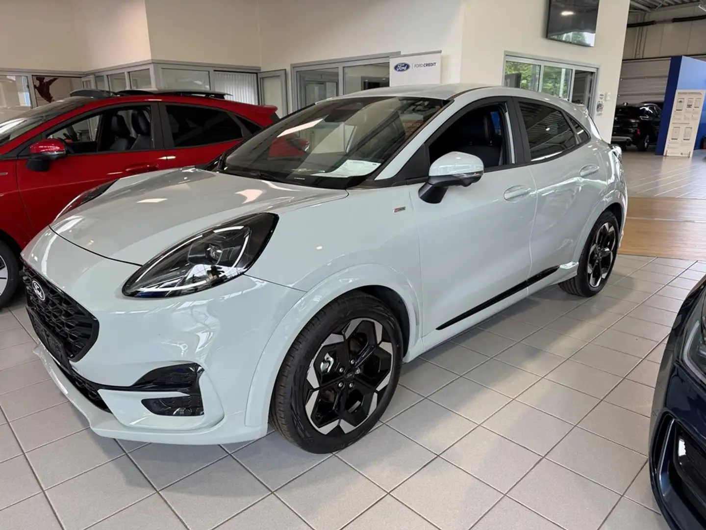 Ford Puma St-Line X 1.0i Ecoboost mHEV (Cactus Grey, Drivers Gris - 1