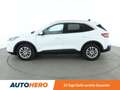 Ford Kuga 1.5 EcoBoost Titanium*NAVI*ACC*CAM*PDC*SHZ* Weiß - thumbnail 3
