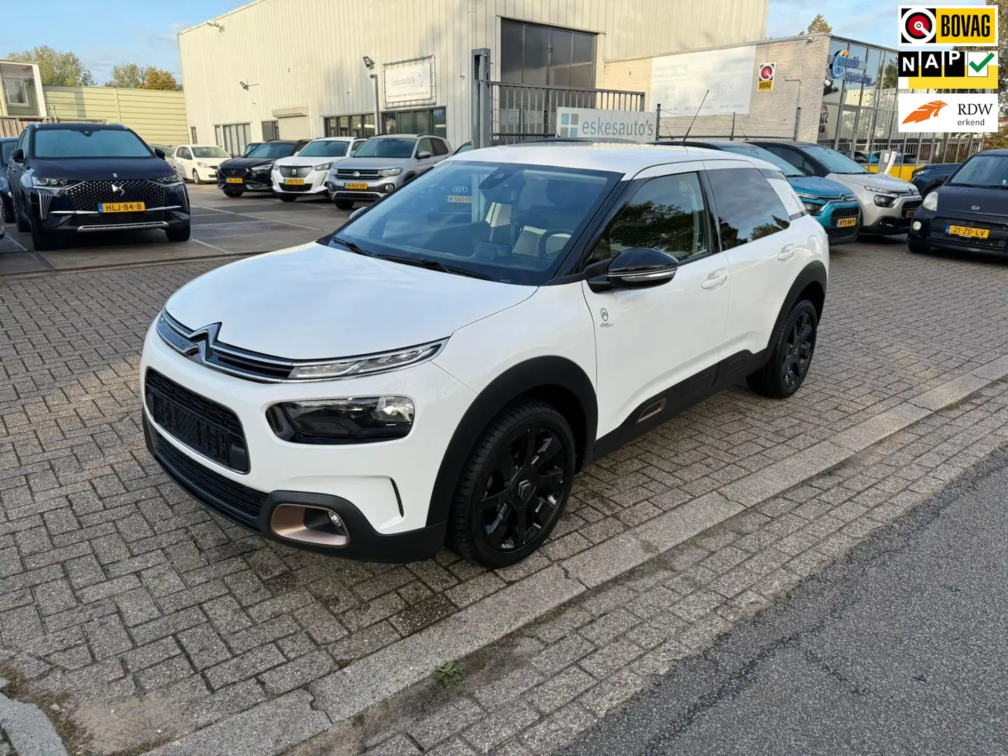 Citroen C4 Cactus 1.2 PureTech Feel, Navi, 12 mnd Garantie Wit - 1
