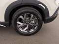 BYD Atto 2 45kWh Aut LED RADAR NAVI LEDER SITZHZG Grün - thumbnail 25