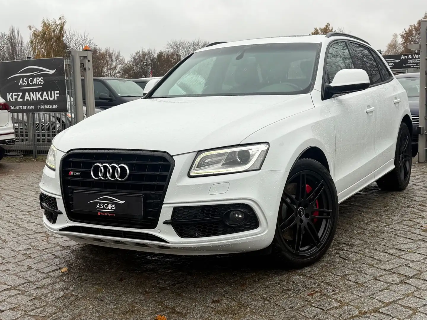 Audi SQ5 3.0 TDI competition quattro*B&O*Pano*Kam*ACC Weiß - 1