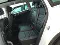Volkswagen Tiguan Tiguan 2.0 150cv Carat, Pelle tetto led - thumbnail 2