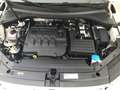 Volkswagen Tiguan Tiguan 2.0 150cv Carat, Pelle tetto led - thumbnail 29