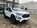 Ford EcoSport EcoSport 1.0 ecoboost Active Bianco - thumbnail 9