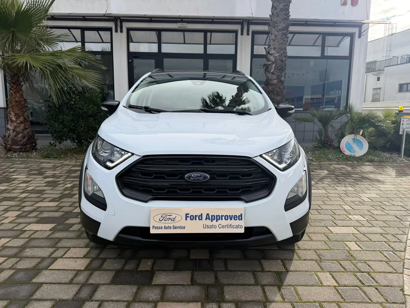 Ford EcoSport EcoSport 1.0 ecoboost Active Bianco - 1